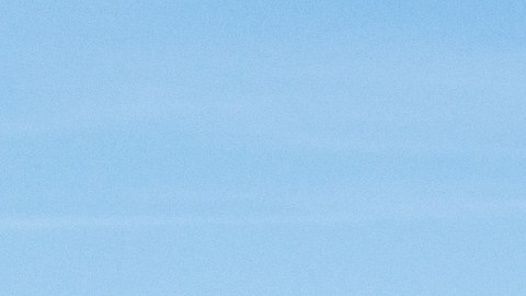 la embarcación que colisionó con el ferry huyó del lugar del accidente, según reportó la policía de Clearwater