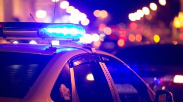 El hombre admitió haber cometido los asesinatos y reveló que inicialmente había planeado acabar con la vida de toda su familia.