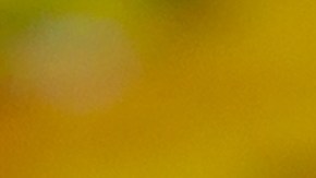 Ganador de la lotería con billete de raspadito