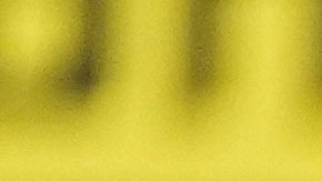 Gary Antuanne Russell