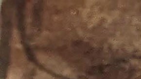 La corte aprobó la solicitud y fijó el nuevo plazo para la presentación de la apelación el próximo 21 de julio de 2025.