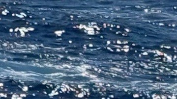 Según un comunicado emitido por la Guardia Costera, uno de los pasajeros rescatados informó que el naufragio ocurrió el viernes.