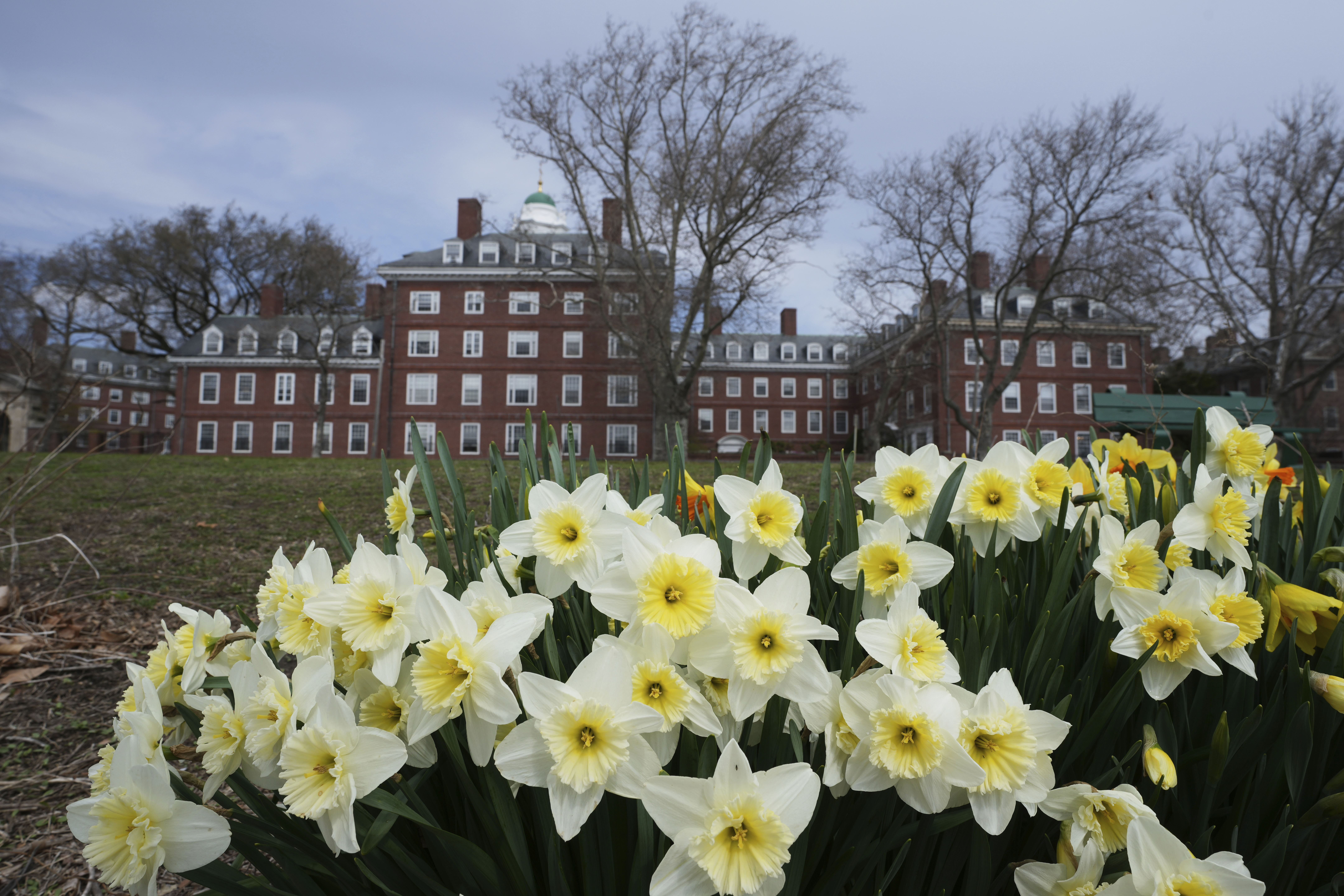 Trump ha pedido retirar a Harvard su status de organización educacional no lucrativa.