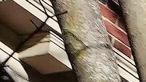 La Universidad de Harvard demandó al gobierno de Trump tras la congelación de miles de millones en fondos federales.