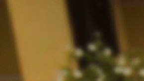 Familiares y abogados de los hombres que la administración Trump ha enviado a El Salvador han negado que sean miembros de la pandilla Tren de Aragua.