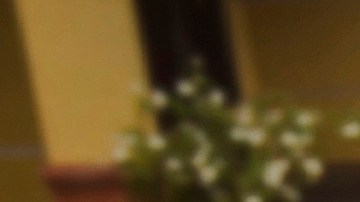 Familiares y abogados de los hombres que la administración Trump ha enviado a El Salvador han negado que sean miembros de la pandilla Tren de Aragua.