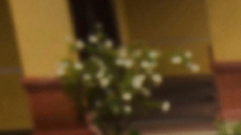 Familiares y abogados de los hombres que la administración Trump ha enviado a El Salvador han negado que sean miembros de la pandilla Tren de Aragua.