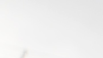 Autoridades sostienen evidencias de que la científica pretendía contrabandear con el artículo no declarado en el aeropuerto.