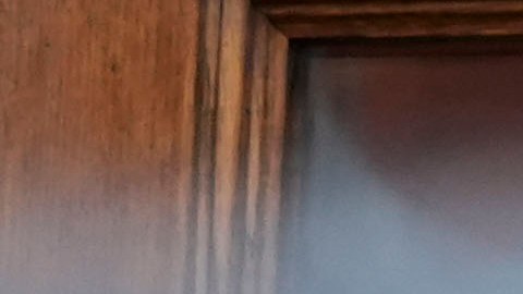 Un cartel que prohíbe la entrada de ICE o Seguridad Nacional está colocado en una puerta de una iglesia en Nueva York.