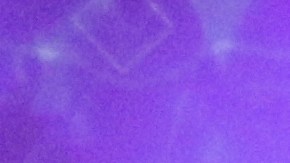 The Wall Las Memorias organizó la conferencia “Unidos por Soluciones”.