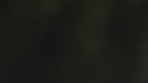 Diego Rangel, campeón junior de ciclismo de California.