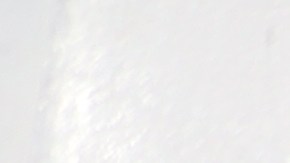 José Luis Munguía, propietario de Jamín Peppers, un negocio de chiles frescos de primera calidad.