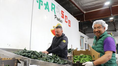 José Luis Munguía, propietario de Jamín Peppers, un negocio de chiles frescos de primera calidad.