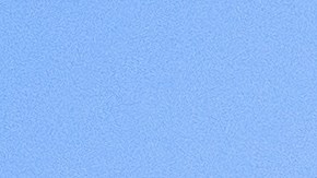 La información preliminar proporcionada por la NTSB sugiere que el avión colisionó con cables de electricidad momentos antes del fatal impacto.