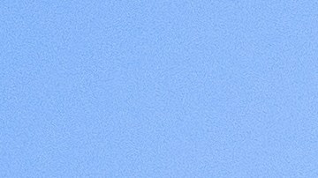 La información preliminar proporcionada por la NTSB sugiere que el avión colisionó con cables de electricidad momentos antes del fatal impacto.