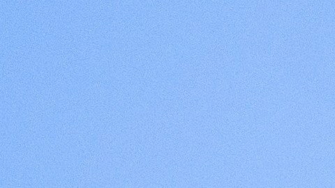 La información preliminar proporcionada por la NTSB sugiere que el avión colisionó con cables de electricidad momentos antes del fatal impacto.