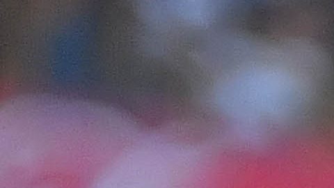 Miguel Herrera, DT de la selección de Costa Rica.