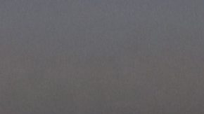 Javier Hernández no participó en el último juego de Chivas del Clausura 2025..