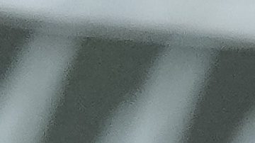 Miguel Layún ahora ejerce funciones como dirigente.