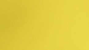 Monterrey, Nuevo León, 28 de noviembre de 2024. Martín Demichelis, Director Técnico y Sergio Canales, durante el partido de ida de los Cuartos de Final del torneo Apertura 2024 de la Liga BBVA MX, entre los Rayados del Monterrey y los Pumas de la UNAM, celebrado en el estadio BBVA. Foto: Imago7/