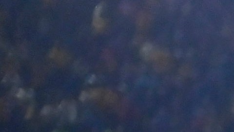 San Nicolás de los Garza, Nuevo León, 15 de febrero de 2025. , durante el partido correspondiente a la jornada 7 del torneo Clausura 2025 de la Liga BBVA MX, entre los Tigres de la UANL y la Máquina Celeste del Cruz Azul, realizado en el estadio Universitario. Foto: Imago7/Andrea Jiménez