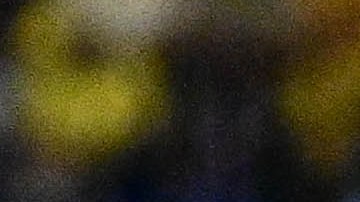 Ciudad de México, 1 de abril de 2025. , durante el partido de ida de los Cuartos de Final de la Champions Cup de la CONCACAF 2025, entre las Águilas del América y la Máquina Celeste del Cruz Azul, realizado en el estadio Ciudad de los Deportes. Foto: Imago7/ Alexis Chávez