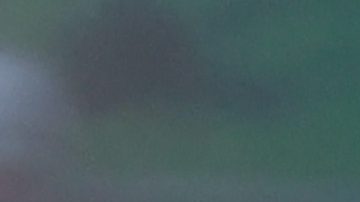 Martín Demichelis tiene más de 30 partidos dirigidos en Rayados.