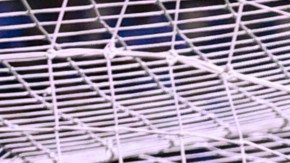 Puebla, Puebla, 5 de abril de 2025. Rodolfo Rotondi anota gol, durante el partido correspondiente a la jornada 14 del torneo Clausura 2025 de la Liga BBVA MX, entre la Máquina Celeste del Cruz Azul y los Pumas de la UNAM, realizado en el estadio Cuauhtemoc. Foto: Imago7/ Manlio Contreras