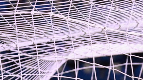 Puebla, Puebla, 5 de abril de 2025. Rodolfo Rotondi anota gol, durante el partido correspondiente a la jornada 14 del torneo Clausura 2025 de la Liga BBVA MX, entre la Máquina Celeste del Cruz Azul y los Pumas de la UNAM, realizado en el estadio Cuauhtemoc. Foto: Imago7/ Manlio Contreras
