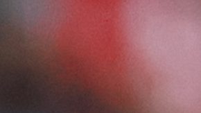 Gerardo Espinoza, DT de Chivas.