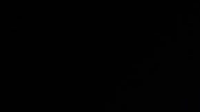 José Benavídez Sr.