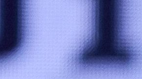 Julio Cesar Chavez Jr