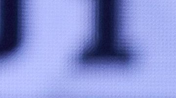 Julio Cesar Chavez Jr