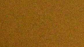 La reorganización anunciada por Rubio elimina programas de derechos, humanos y democracia.