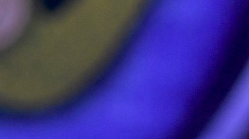 Imelda Tuñón responde a Maribel Guardia con un contundente mensaje: "Déjanos en paz"