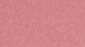 Michelle Salas Silvia Pinal