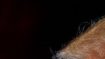 Donald Trump, presidente estadounidense