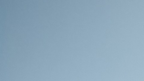 Si cumples con ciertos requisitos es probable que no necesites mostrar tu Real ID al momento de viajar en avión