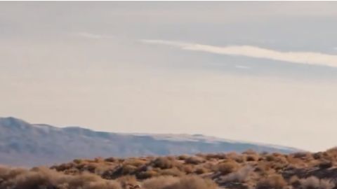 New Tesla Model Y 2025