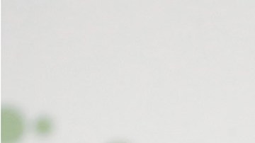 Nikki Haley, ex precandidata republicana a la presidencia