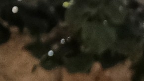 Los Angeles Metro Police and K-9 stand at the entrance to Union Station in Los Angeles on Tuesday, Aug. 14, 2018 prior to a news conference by The Transportation Security Administration (TSA) administrator David P. Pekoske. Pekoske talked about the ThruVision suicide vest-detection technology that reveals a suspicious objects on people. Aiming to stay ahead of an evolving threat against transit systems worldwide, officials in Los Angeles are testing out the airport-style body scanners that screen subway passengers for weapons and explosives. (AP Photo/Richard Vogel)