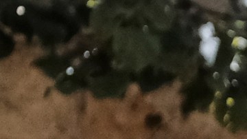 Los Angeles Metro Police and K-9 stand at the entrance to Union Station in Los Angeles on Tuesday, Aug. 14, 2018 prior to a news conference by The Transportation Security Administration (TSA) administrator David P. Pekoske. Pekoske talked about the ThruVision suicide vest-detection technology that reveals a suspicious objects on people. Aiming to stay ahead of an evolving threat against transit systems worldwide, officials in Los Angeles are testing out the airport-style body scanners that screen subway passengers for weapons and explosives. (AP Photo/Richard Vogel)