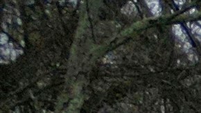 Dos vehículos quedaron sumergidos tras ser arrastrados al cruzar un puente