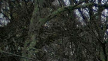 Dos vehículos quedaron sumergidos tras ser arrastrados al cruzar un puente