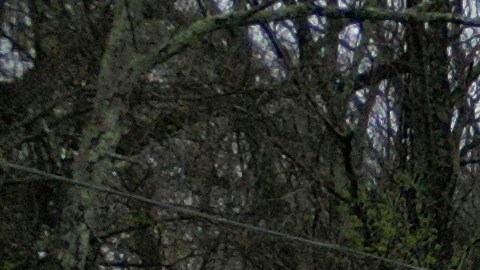 Dos vehículos quedaron sumergidos tras ser arrastrados al cruzar un puente