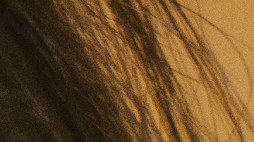 Las víctimas de la estafa creían estar enviando dinero a hombres con quienes habían entablado relaciones sentimentales a través de internet.