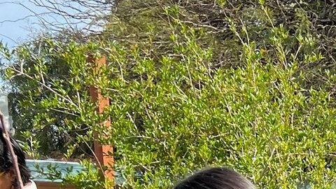 La alcaldesa Regina Romero ha convertido a Tucson en una ciudad refente en temas ambientales para el resto de Estados Unidos. /FOTOS: OFICINA DE ALCALDESA REGINA ROMERO