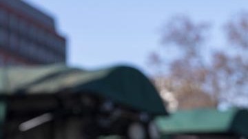 Peter Navarro, asesor comercial senior de la Casa Blanca