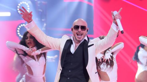 Pitbull