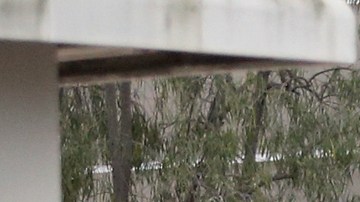 Investigators leave the Church of Scientology, at left rear, after a shooting in Inglewood, Calif., Wednesday, March 27, 2019. Two police officers and a suspect were shot Wednesday after law enforcement responded to reports of a man with a sword entering the Church of Scientology in Inglewood, authorities said. (AP Photo/Reed Saxon)